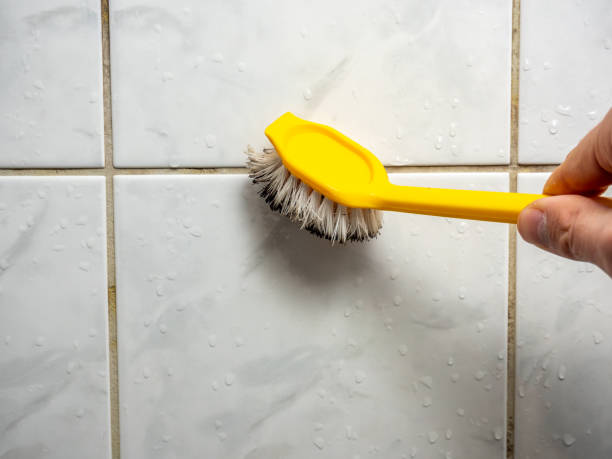 Best Fast Mold Removal  in Mission Viejo, CA