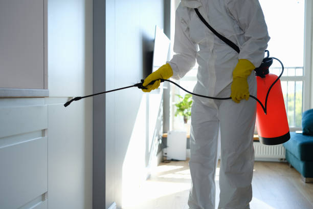 Best Toxic Mold Removal  in Mission Viejo, CA