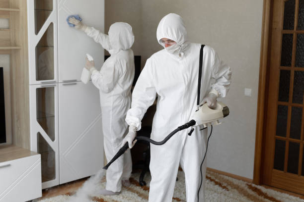 Best Mold Removal and Inspection  in Mission Viejo, CA