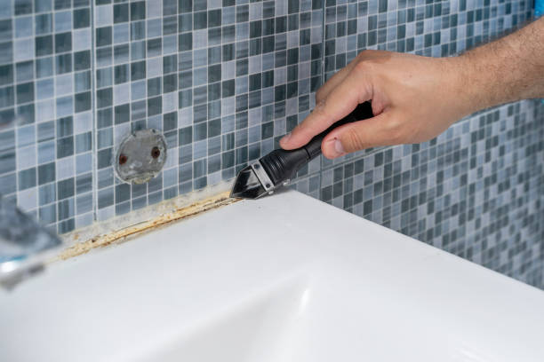 Best Home Mold Removal  in Mission Viejo, CA