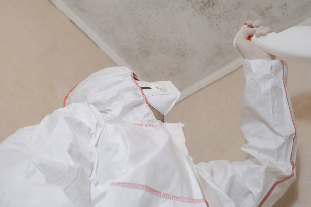 Best Mold Testing  in Mission Viejo, CA