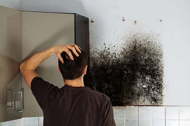 Best Residential Mold Removal  in Mission Viejo, CA